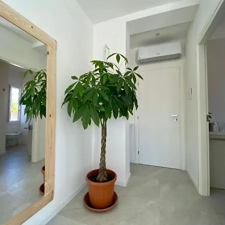 Pathos Nocleg ze śniadaniem Quarto dʼAltino