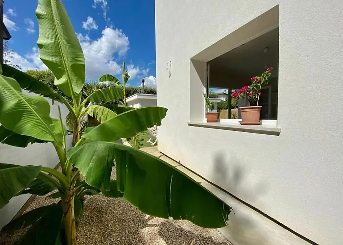 Pathos Bed & Breakfast 4*