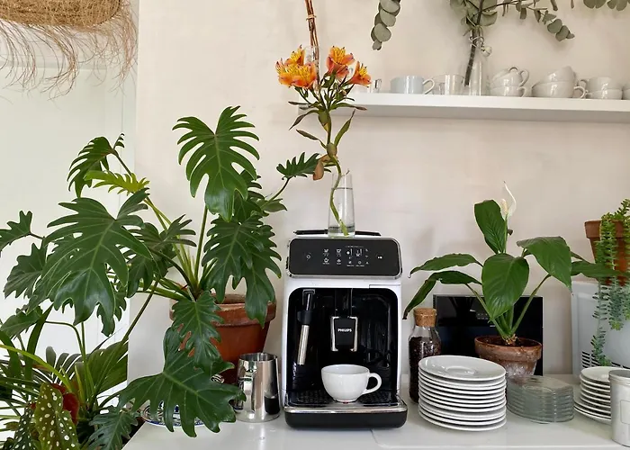 Pathos Bed & Breakfast 4*