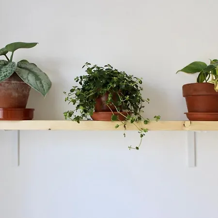 Pathos Frühstückspension