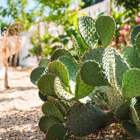 Pathos Bed and Breakfast