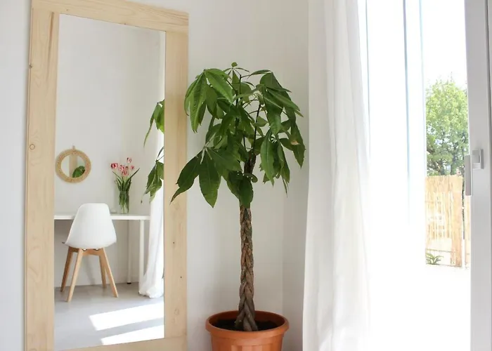 Pathos Quarto d'Altino