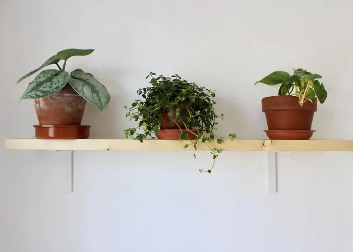 Pathos Bed & Breakfast