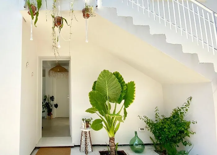 Pathos Bed & Breakfast